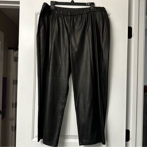 GRAVER by Susan Graver Leather Pants